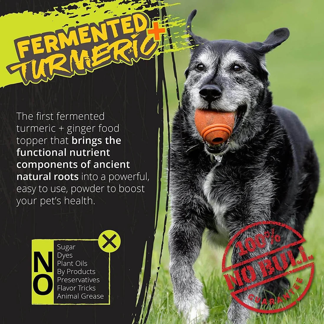 Turmeric Plus for Dogs, Fermented Turmeric Dog-Food Topper 5.25 oz