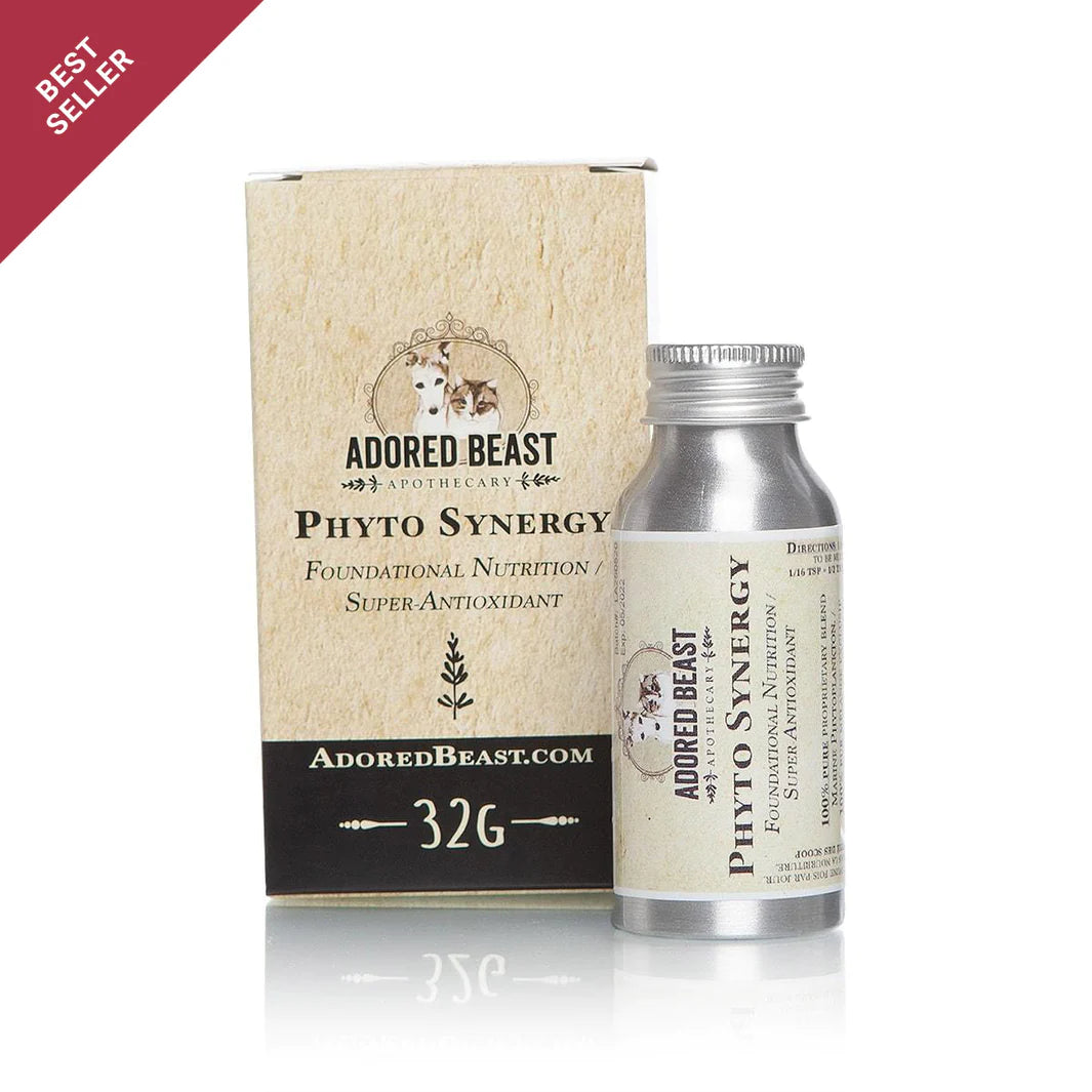 Phyto Synergy | Super Antioxidant 32g