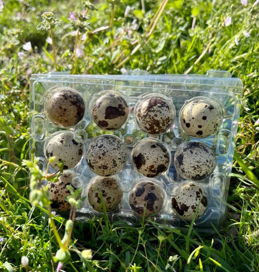 Quail Eggs